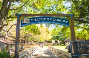 About Cracker Country