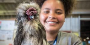 Competitions and Shows