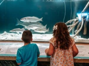 Fish and Wildlife Exhibit