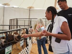 Giraffic Menagerie Petting Zoo