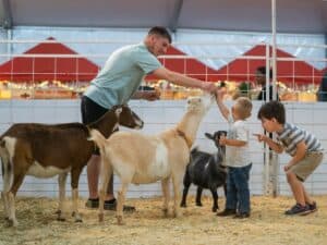 Great American Petting Zoo