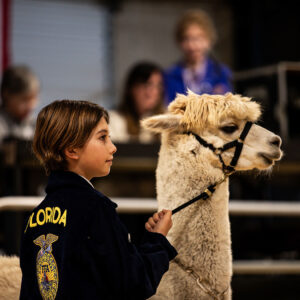 Llama Show