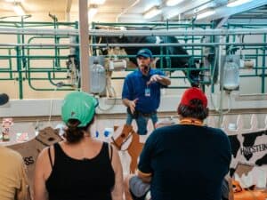 Milking Demonstrations
