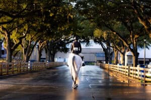 The Bob Thomas Equestrian Center