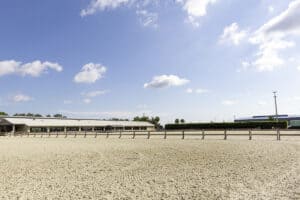 Florida State Fairgrounds - Equestrian Rings