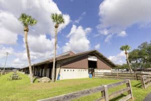 Florida State Fairgrounds - Barns