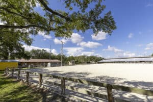Florida State Fairgrounds - Equestrian Rings