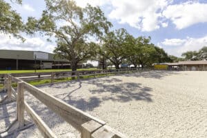 Florida State Fairgrounds - Equestrian Rings