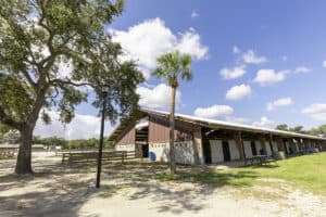 Florida State Fairgrounds - Barns