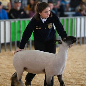 Youth Sheep Show