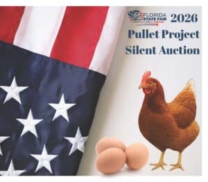 2026 Pullet Project Silent Auction artwork