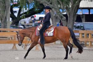 AQHA horse show rider on brown horse during compet.