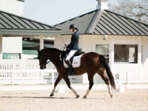 Girl riding horse in dressage competition.