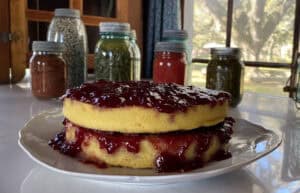 Delicious homemade jam cake