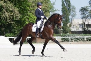 Equestrian rider performing dressage at Florida St.