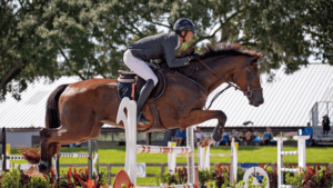 Equestrian jumping at Florida State Fairgrounds.