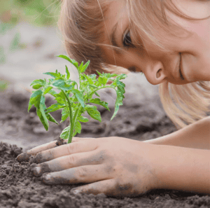 Child planting seedling at fairgrounds.